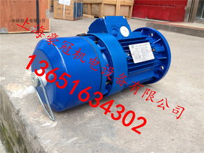 中研技術(shù)專業(yè)生產(chǎn)紫光剎車電機(jī)